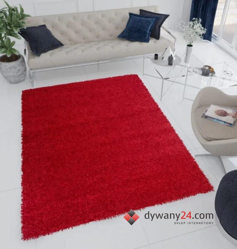 dywan do pokoju 